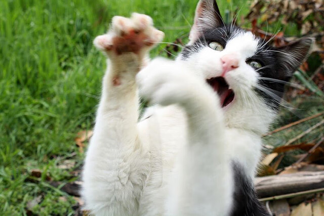 开云体育app-西甲国家德比之夜，杜兰特在刀尖上写就的叙事诗