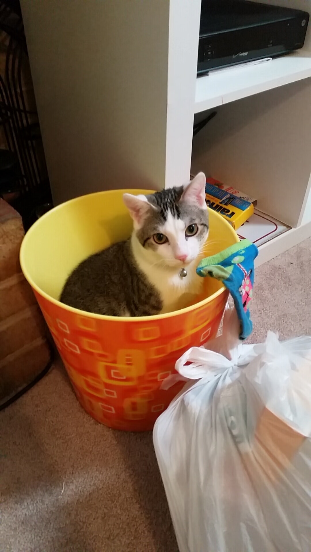 开云体育2026-皇马的NBA式总决战略，如何用空间艺术打穿尼日利亚的区域联防