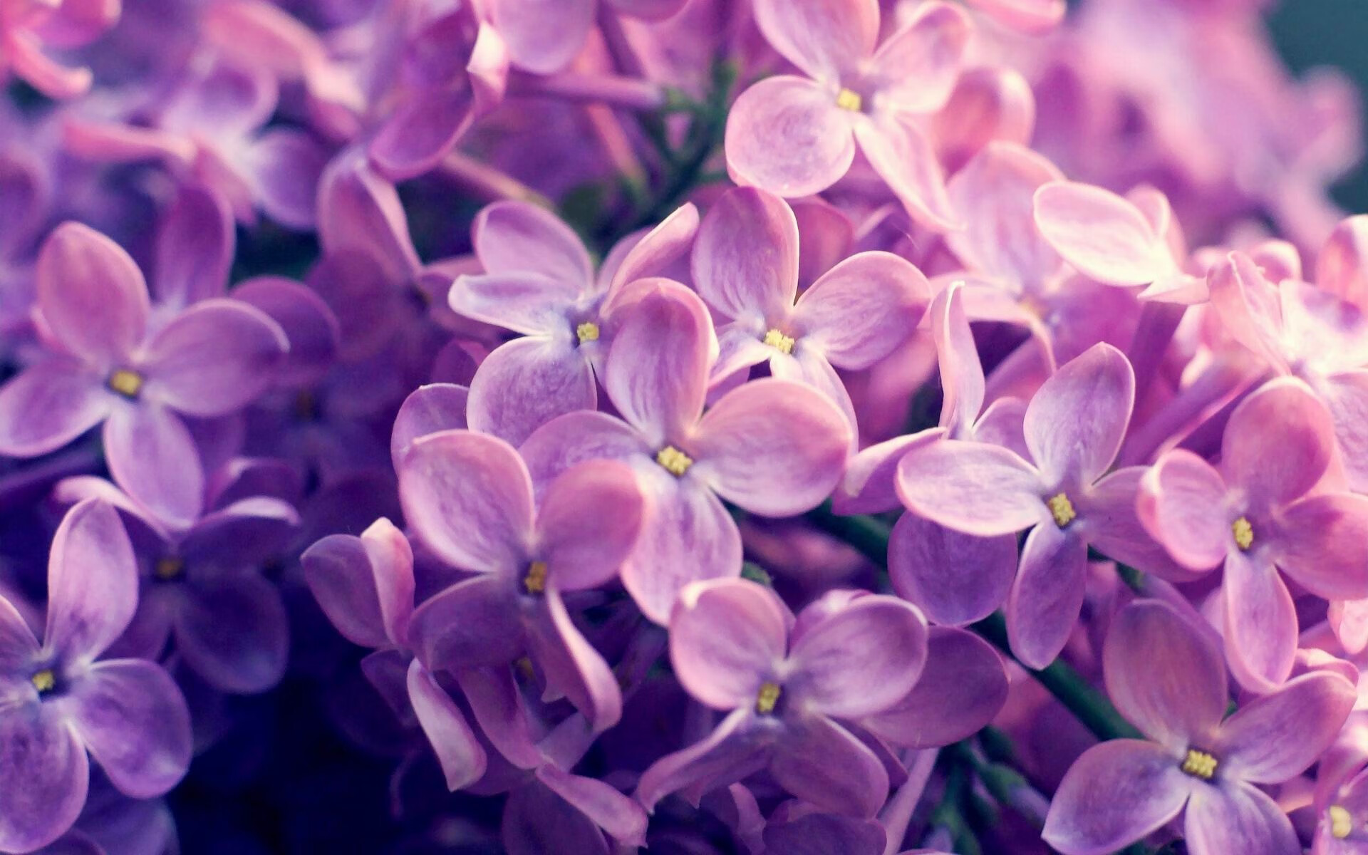 开云体育在线-魔术觉醒，班凯罗连砍14分撕裂僵局，奇才防线在他面前如晨雾消散