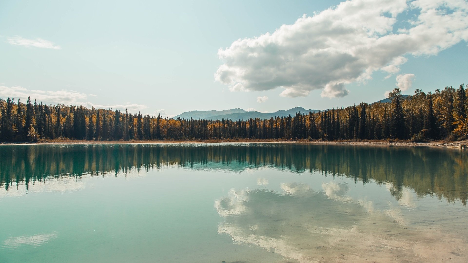 黄与红的博弈，当欧冠铁律遭遇智利时间