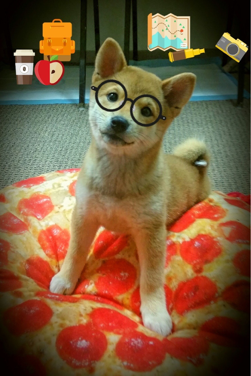 铁血山西对飚华丽勇士，团队烈焰与孤星璀璨的终极对话