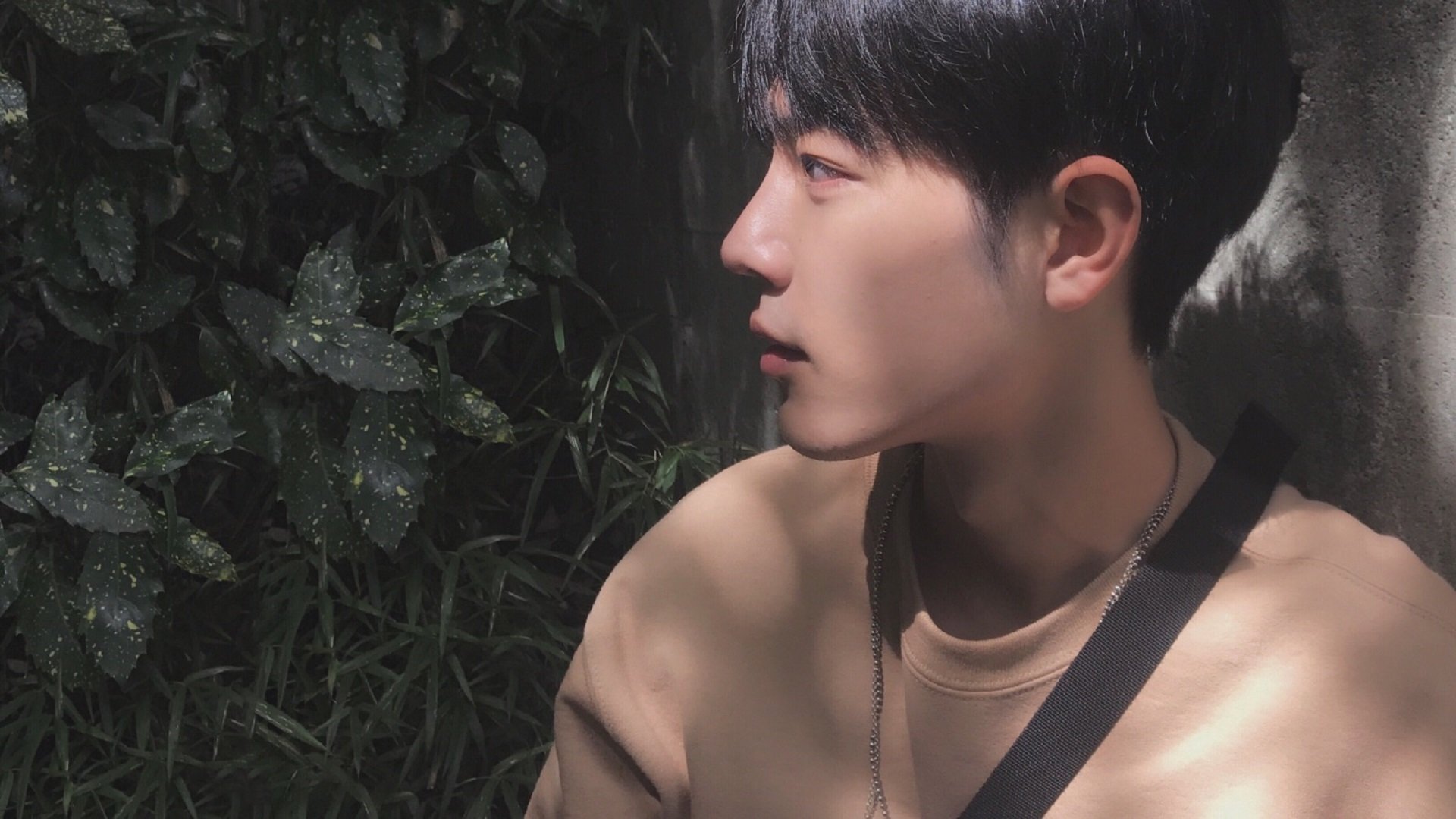 开云体育2026-征服与救赎，当武切维奇用完美表现终结悬念