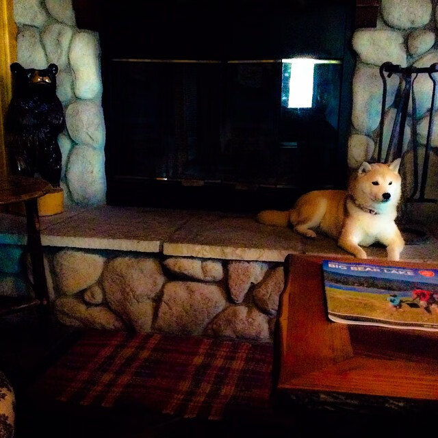 开云体育平台APP-双重奏，当掘金的体系强压遇见贝恩的个人接管—现代篮球的两种胜利法则