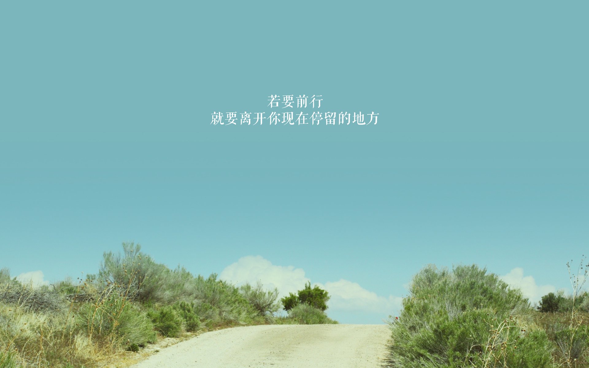 双线征服，阿根廷铁血碎卡塔尔，哈弗茨奥运生死局封神