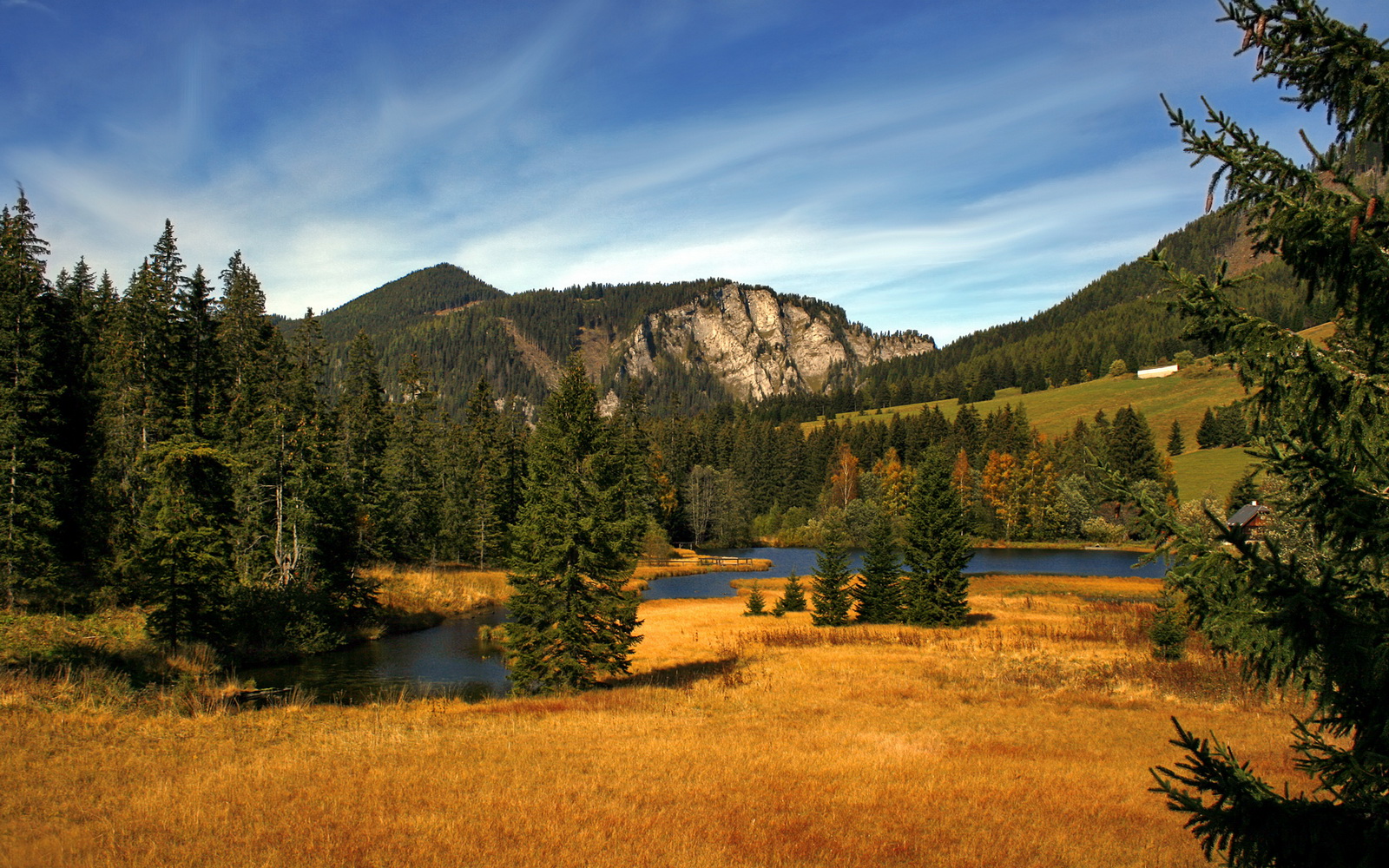 数据爆炸夜!利拉德超神表现竟与尼克斯绝杀广东队有惊人关联?