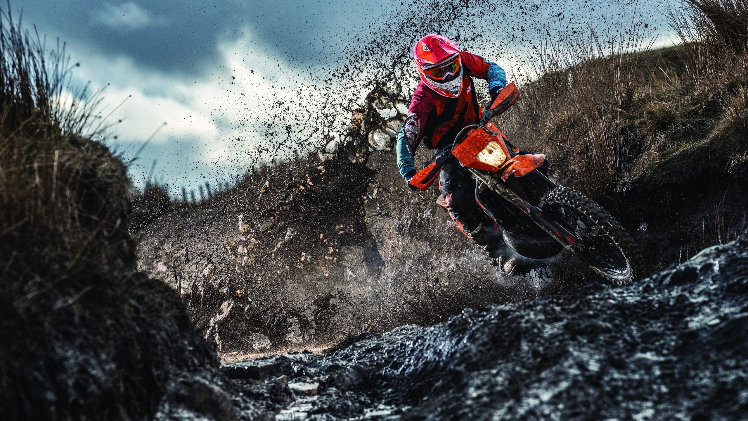 门神出鞘！库尔图瓦惊天一击，波兰险胜喀麦隆