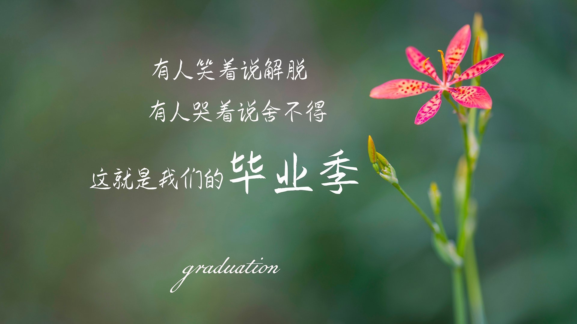 当德国心脏为日本跳动,京多安教科书式表现背后的身份革命