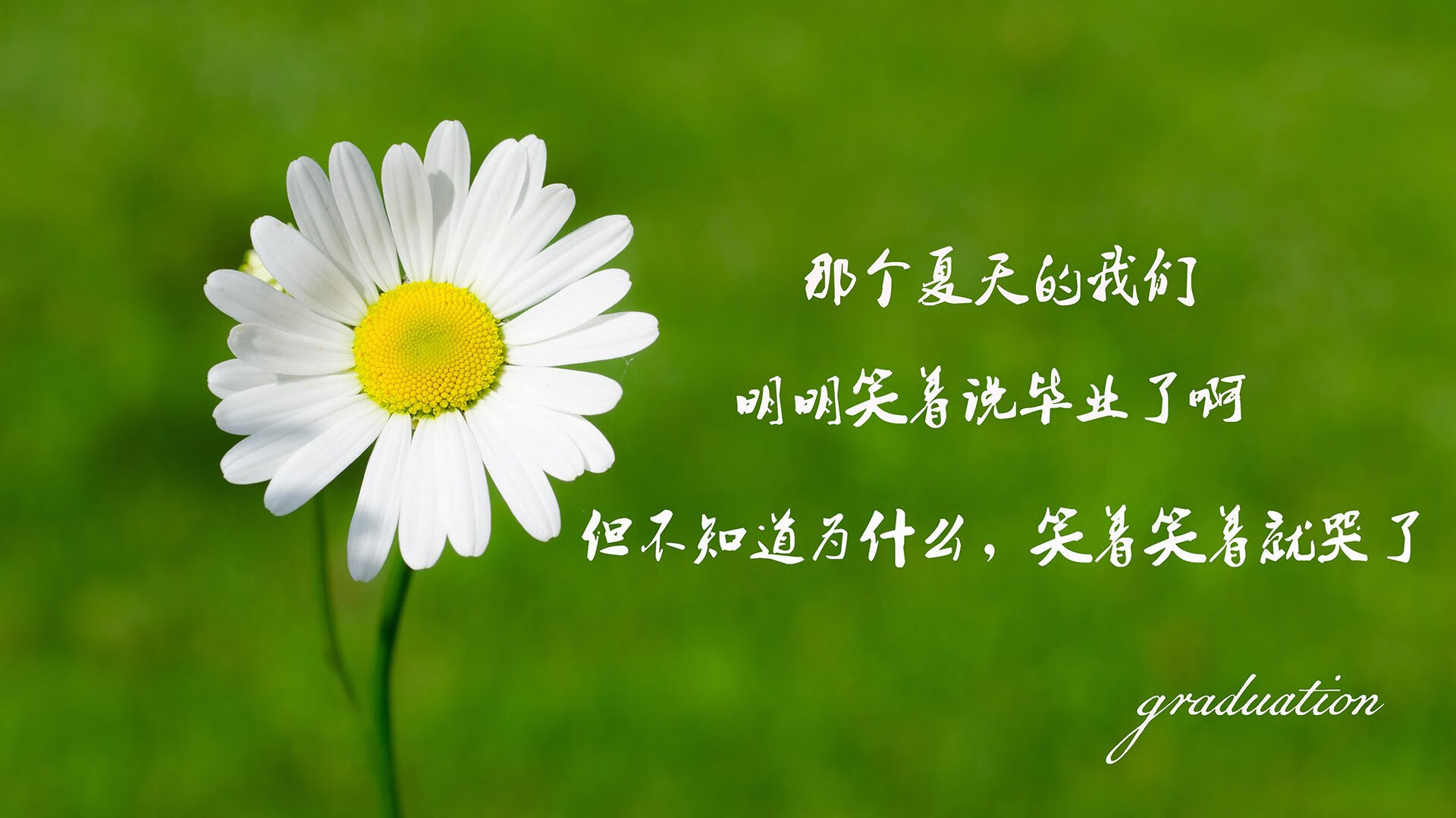 致命一击从米兰到德黑兰,托纳利化身伊朗锋线尖刀,进攻狂潮淹没越南