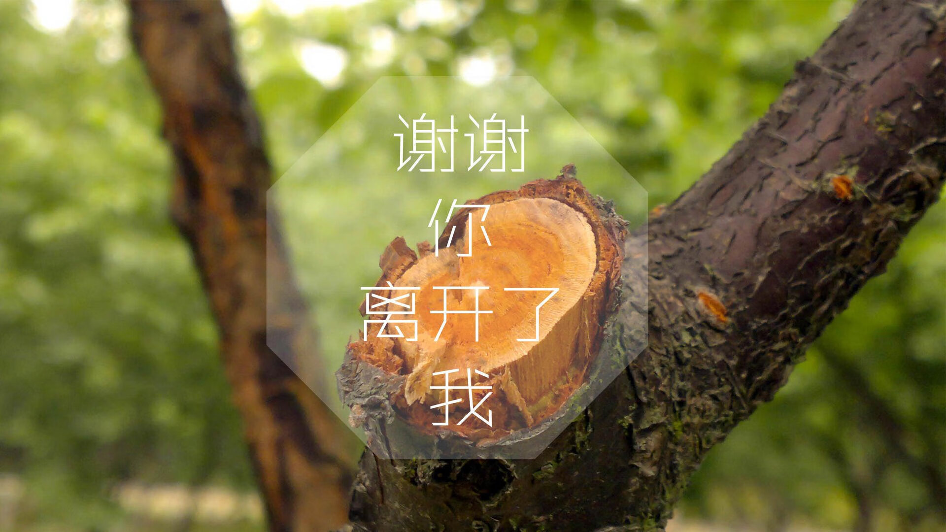 以下是为您构思的标题和文章