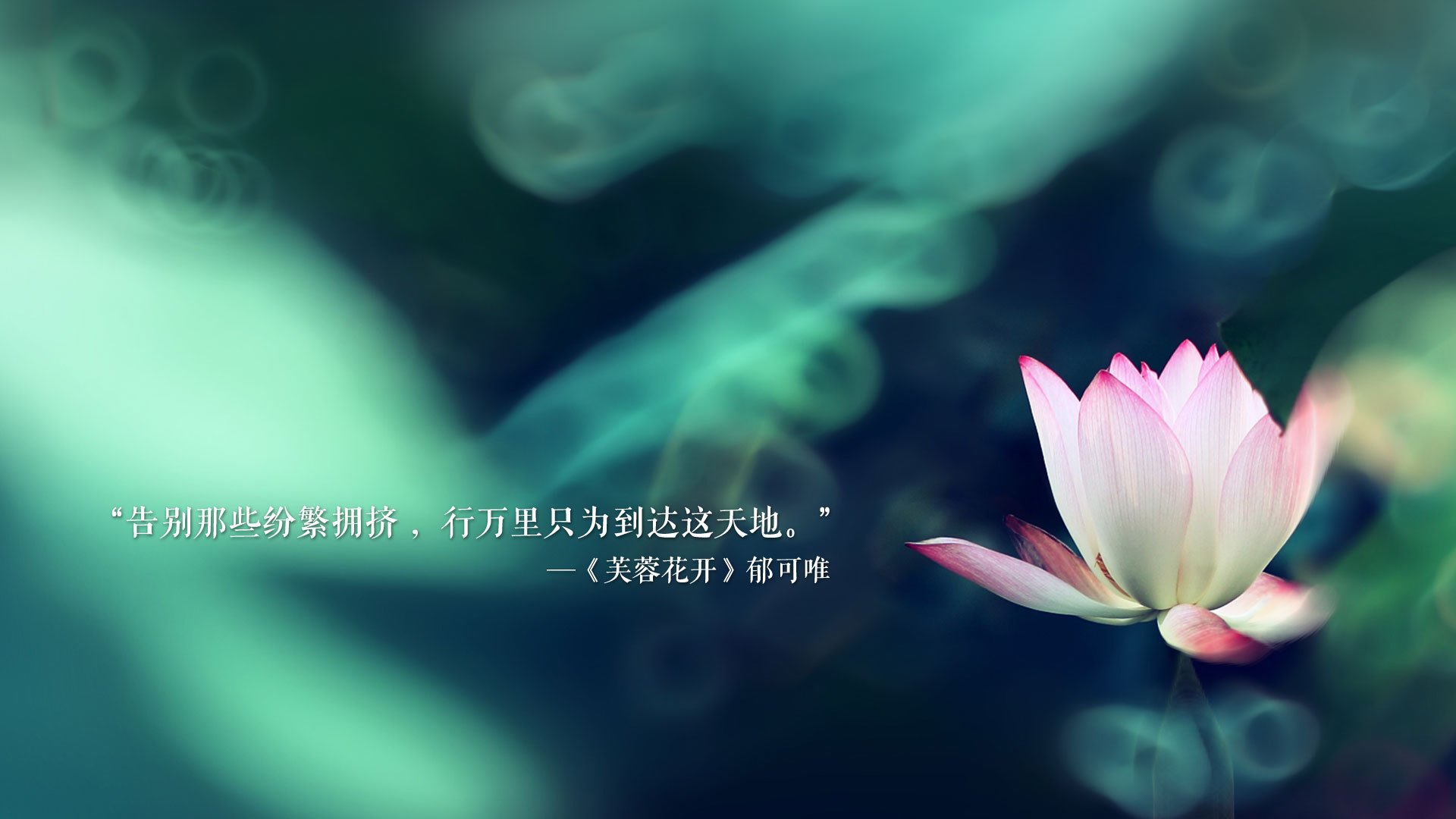 开云体育-北欧冰刃划破南亚热土，2026世界杯A组，格列兹曼致命一击下的防守哲学与永恒瞬间